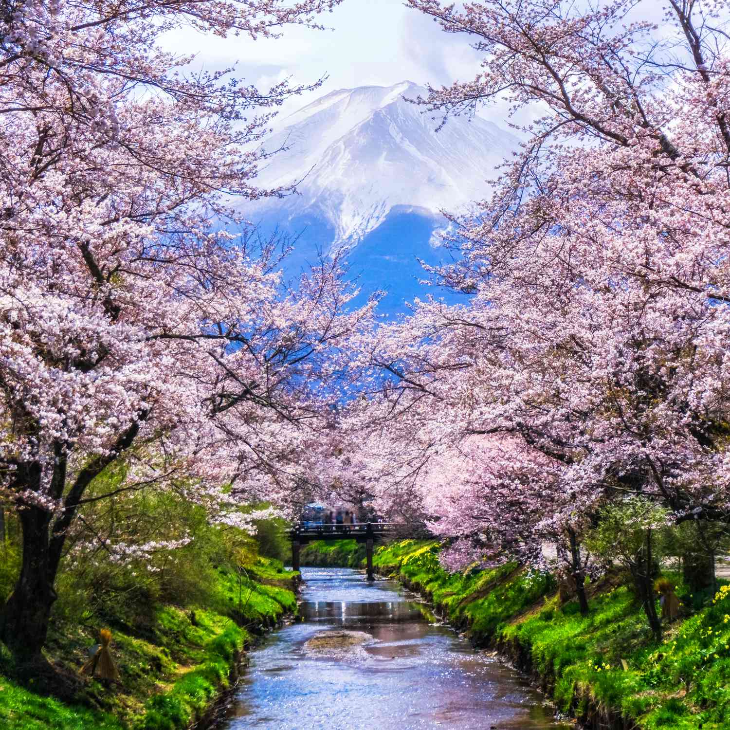 Smekmånad i Japan: ett lugnare premiumupplägg som håller