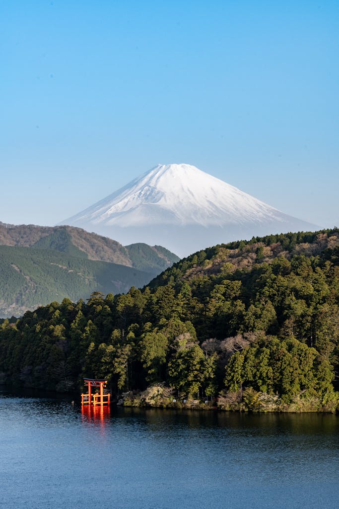 Acupuncture & Moxibustion